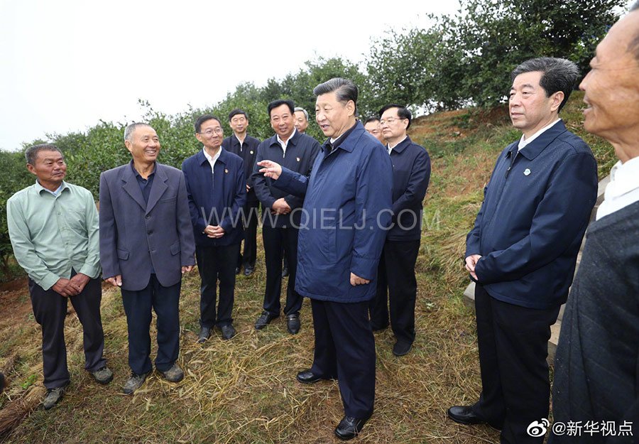 光山油茶籽榨油設(shè)備，山茶籽油榨油機(jī)廠家(圖3)