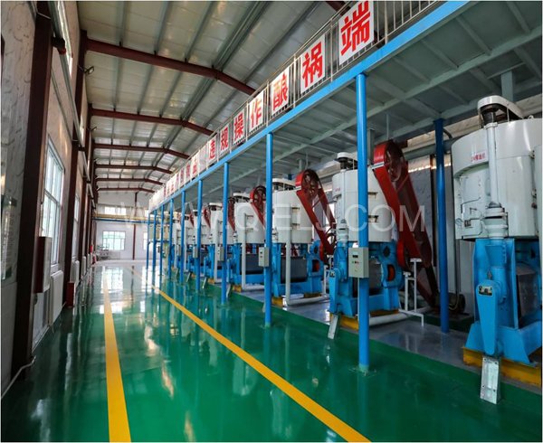 濃香菜籽油成套設備，企鵝糧油機械品質出眾(圖2)