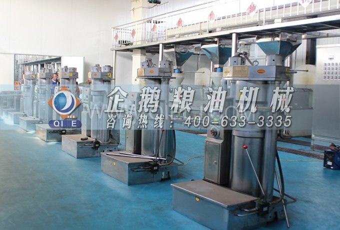 芝麻油提取加工，企鵝糧油機械生產色香味俱佳的油脂(圖3)